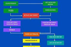 Alur-pasien-igd-2024 