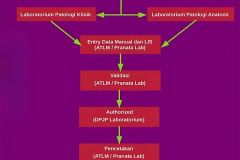 Alur-pasien-laboratorium-2024