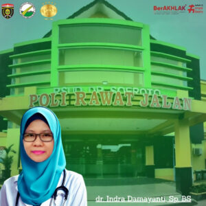 dr. indra damayanti, sp. BS